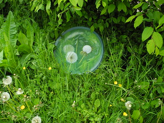 ENTOURLOUPE Aventure Land 2012-2016