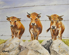 Tribalait (ou Barbe lait ?) 