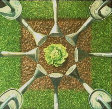 pommes.... d'arrosoirs, pomme de laitue ?