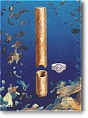 How the inconscient works