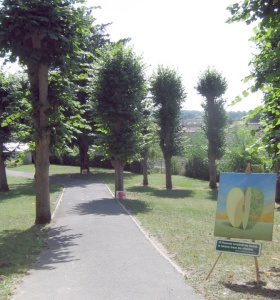 artist Pierre Marcel at Auvers sur Oise