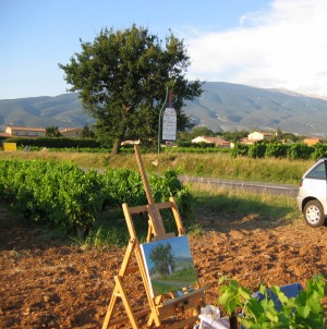 Pierre Marcel au boulot vers B�doin, le bon vin du Ventoux. 