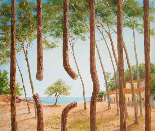 Pin libre , Calanque port d'Alon Tonton Ju, jeune pin libre aux bords de la plage